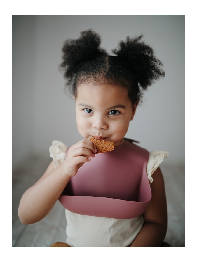 Silicone Bib - Blush