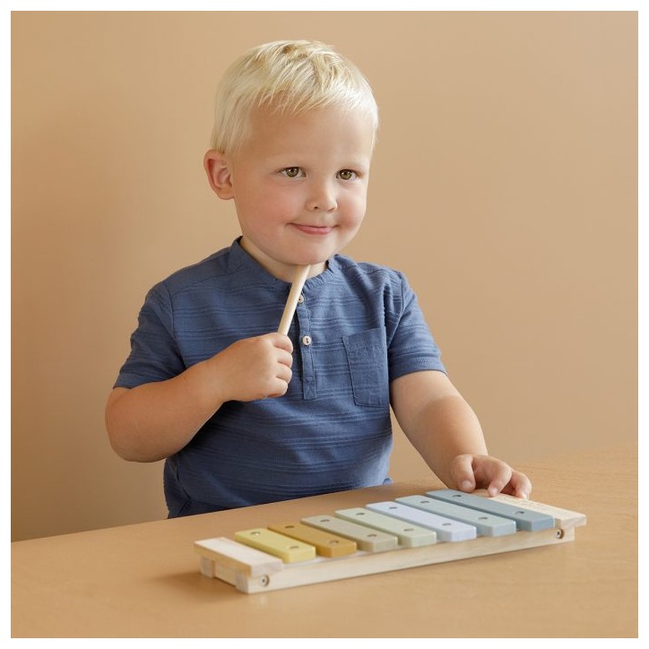 Xilofone de Madeira - Azul