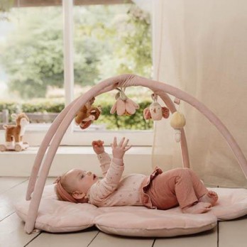 Ginásio e Tapete de Actividades – Fairy Garden