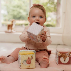Cubos Fofinhos de Actividades - Fairy Garden