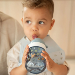 Straw Cup 300 ml - Forest Friends