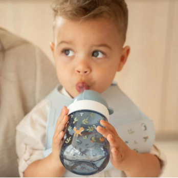 Straw Cup 300 ml - Forest Friends