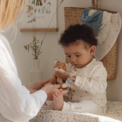 Anel Roca Raposa - Forest Friends