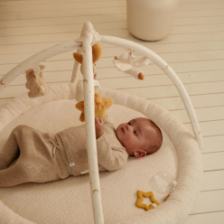 Ginásio e Tapete de Actividades - Newborn Naturals