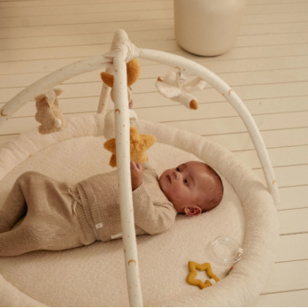 Ginásio e Tapete de Actividades - Newborn Naturals