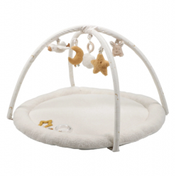 Ginásio e Tapete de Actividades - Newborn Naturals