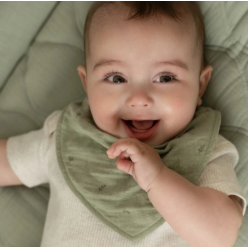 2-pack Bandana Bib - Sage Green