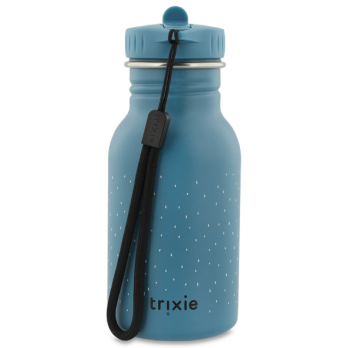 Insulated Bottle 350ml - Mr. Triceratops