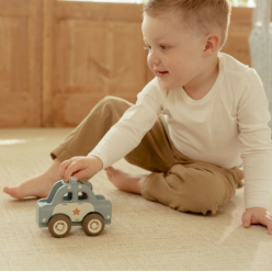 Carro da Polícia em Madeira