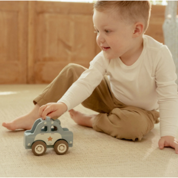 Carro da Polícia em Madeira