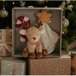 Gift Set - Christmas