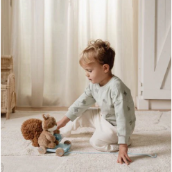 Pull Animal Squirrel - Forest Friends