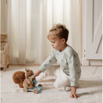 Pull Animal Squirrel - Forest Friends